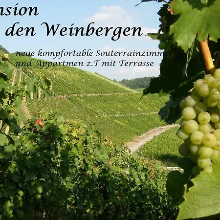 Gasthof An Den Weinbergen